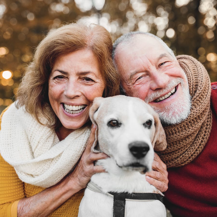 Geriatric Care for Pets, Boulder County