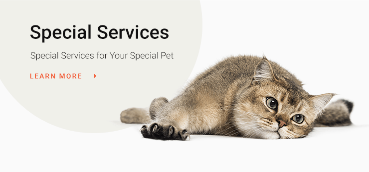 Special services for your special pet, learn more